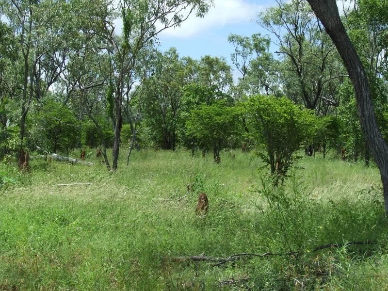 1 Dagworth, Georgetown QLD 4871