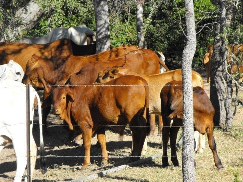 0 REIGATE, Croydon QLD 4871