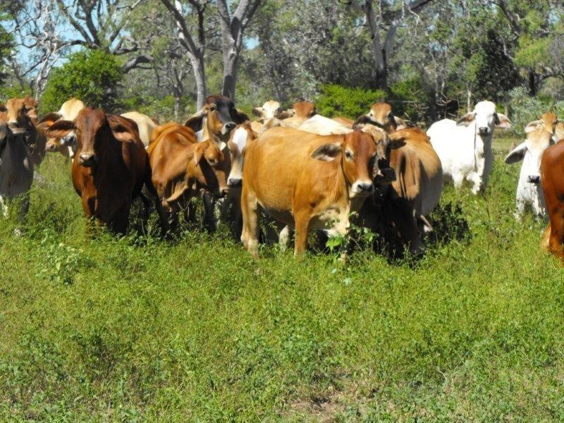 0 REIGATE, Croydon QLD 4871