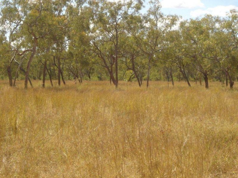 1 Torrlinger, Georgetown QLD 4871