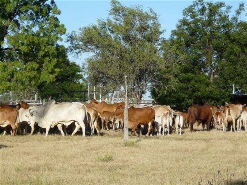 0 Solway, Richmond QLD 4822