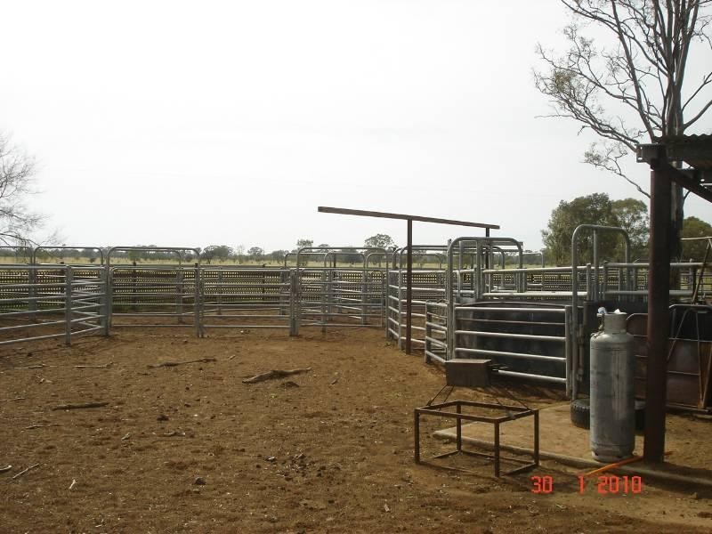 3911 Begonia Road, St George QLD 4487