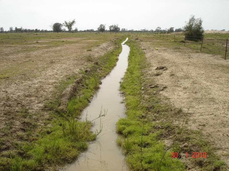 3911 Begonia Road, St George QLD 4487