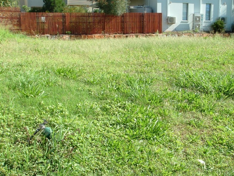 334 Main Road, Wellington Point QLD 4160