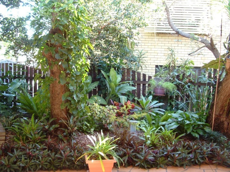 Alexandra Hills QLD 4161