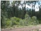 Lot 205 Males Drive, Tara QLD 4421