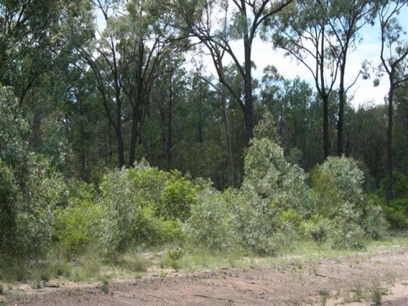 Lot 205 Males Drive, Tara QLD 4421