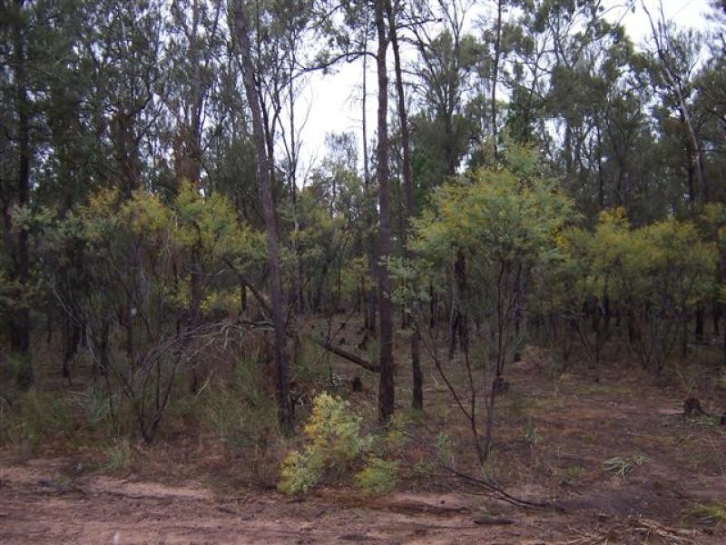 Lot 205 Males Drive, Tara QLD 4421