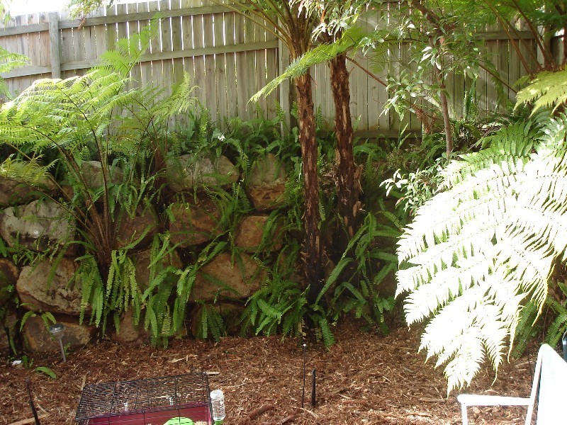 39/55 Beckwith Street, Ormiston QLD 4160