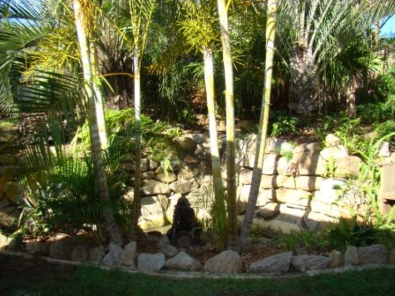 56 Redruth Road, Alexandra Hills QLD 4161