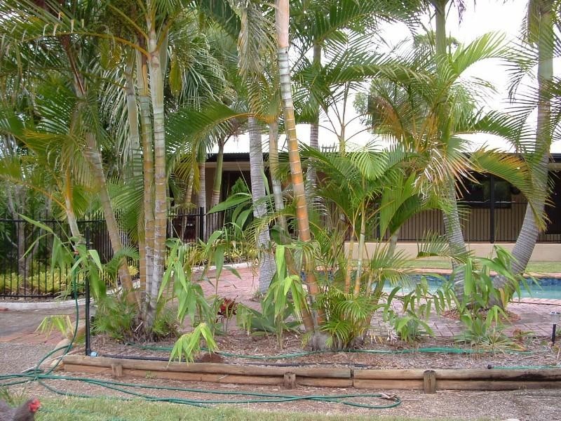 71 Whitehall Avenue, Birkdale QLD 4159