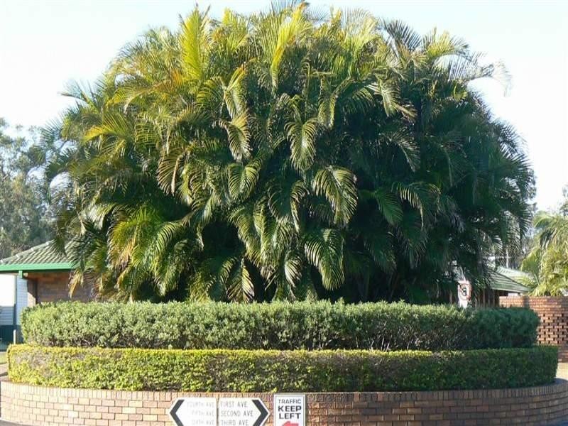 138/43 Mond Street, Thorneside QLD 4158