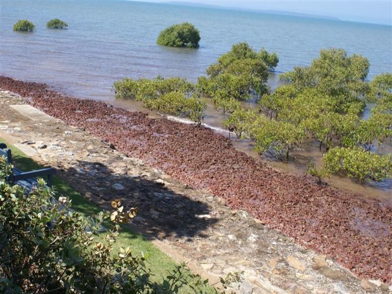 6/123 Shore Street North, Cleveland QLD 4163