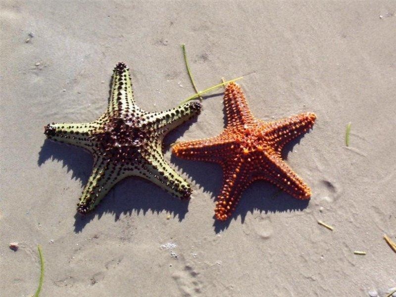 158-160 Main Road, Wellington Point QLD 4160