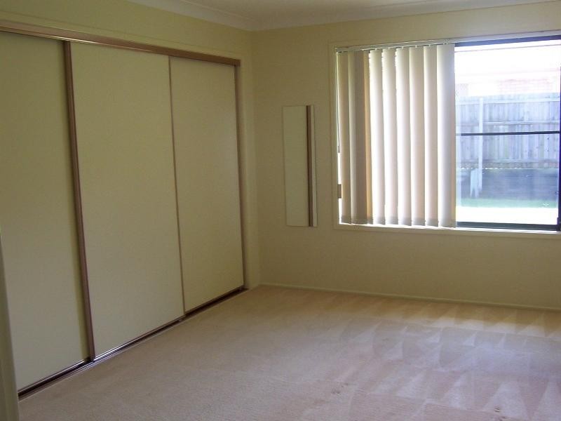 17 Remo Place, Birkdale QLD 4159