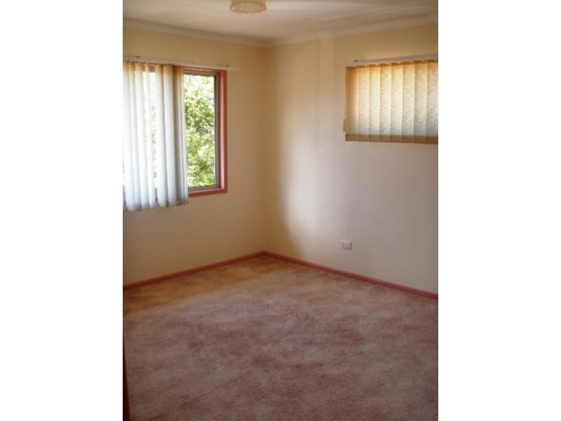 3 Moloaa Crescent, Birkdale QLD 4159