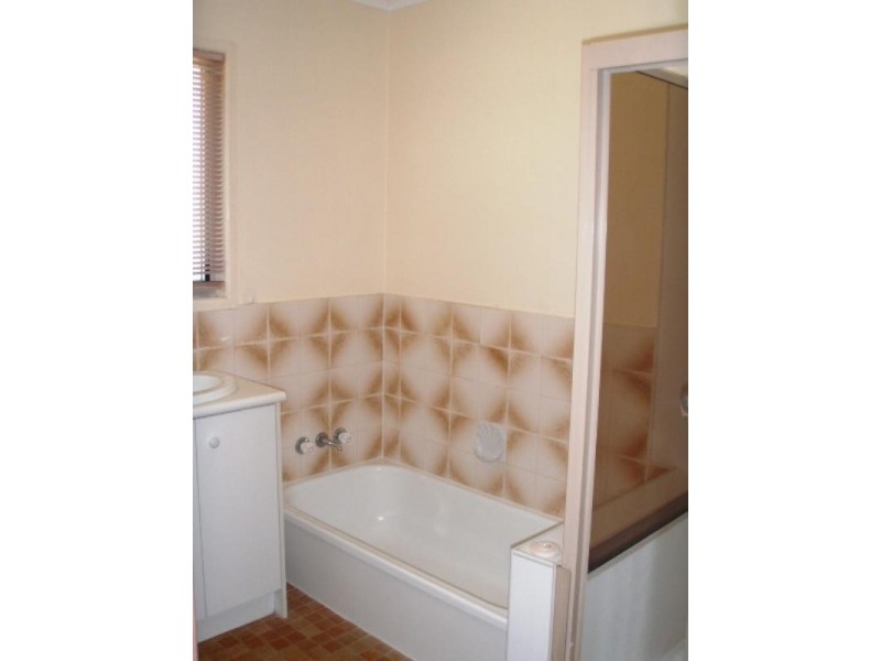 3 Moloaa Crescent, Birkdale QLD 4159