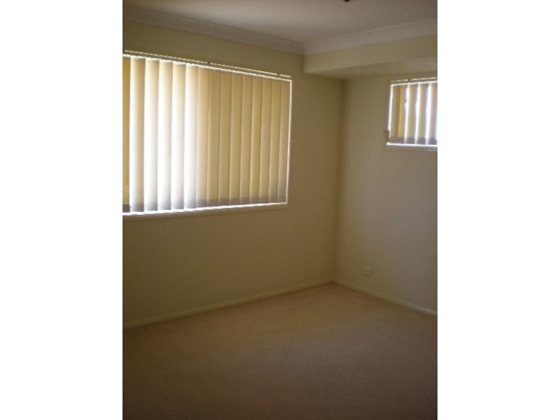 41 Burbank Road, Birkdale QLD 4159