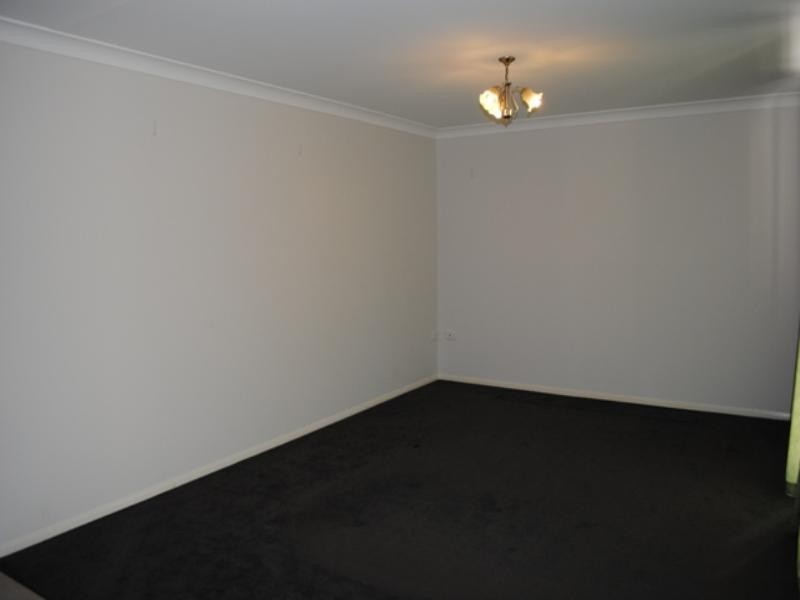 10 Morden Street, Birkdale QLD 4159