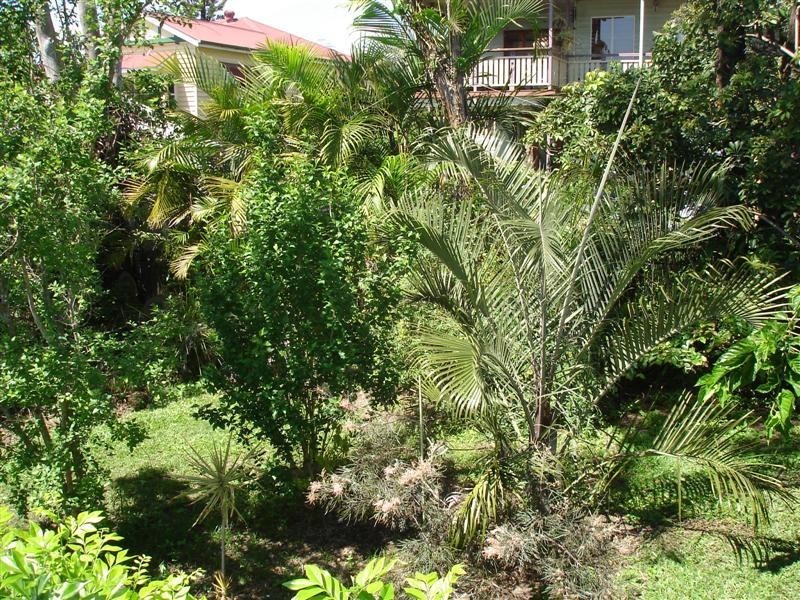 27 Wharton Street, Moorooka QLD 4105