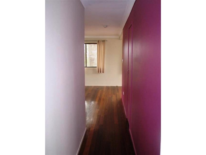 43 Spoonbill Street, Birkdale QLD 4159