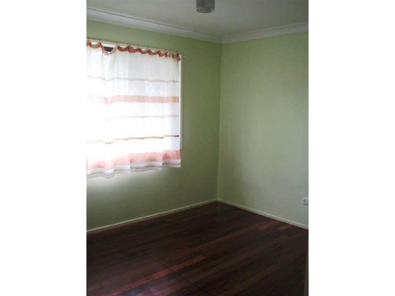 43 Spoonbill Street, Birkdale QLD 4159