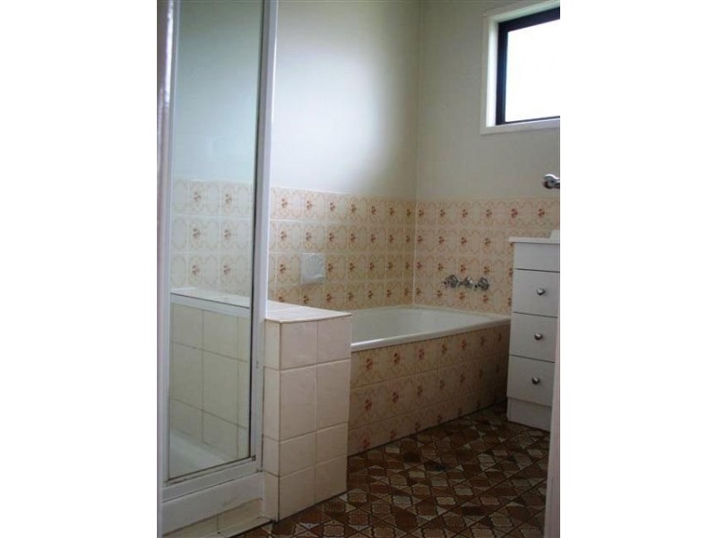 43 Spoonbill Street, Birkdale QLD 4159