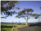 Lot 47 Trafalgar Vale Avenue, Wellington Point QLD 4160