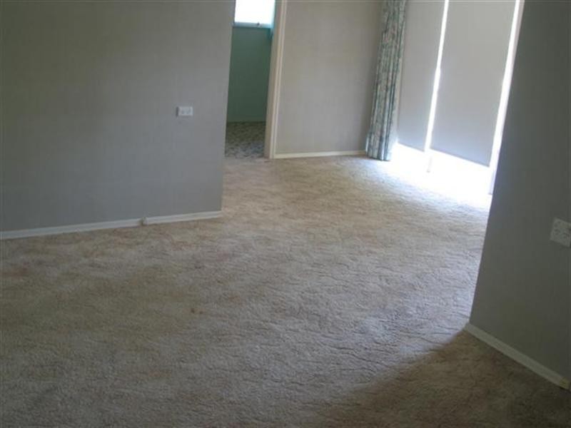 17 David Street, Thorneside QLD 4158