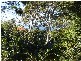 Ormiston QLD 4160