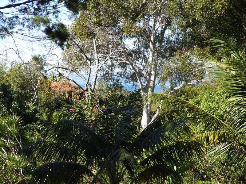 Ormiston QLD 4160