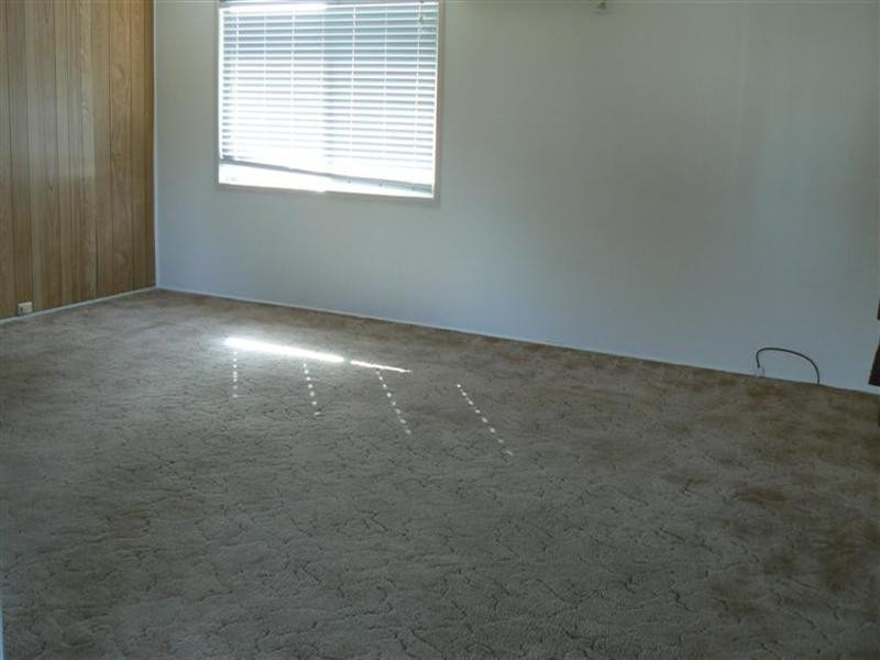 20 Murray Street, Birkdale QLD 4159