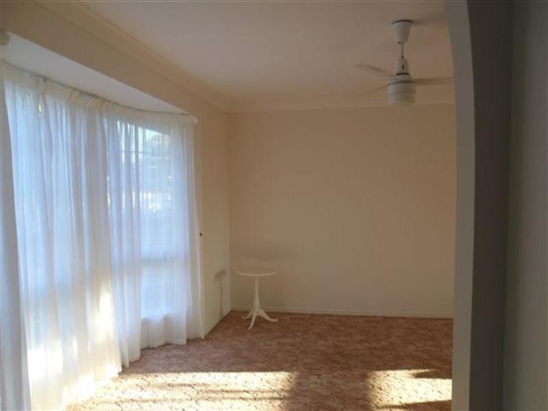 53 Agnes Street, Birkdale QLD 4159