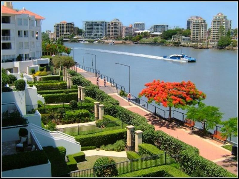 61/6 Merthyr Road, New Farm QLD 4005