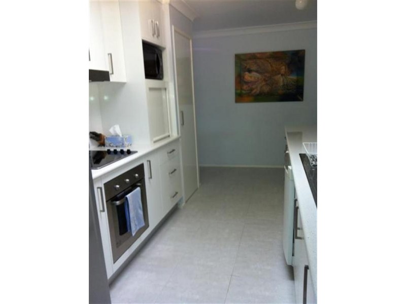 50 Spoonbill Street, Birkdale QLD 4159