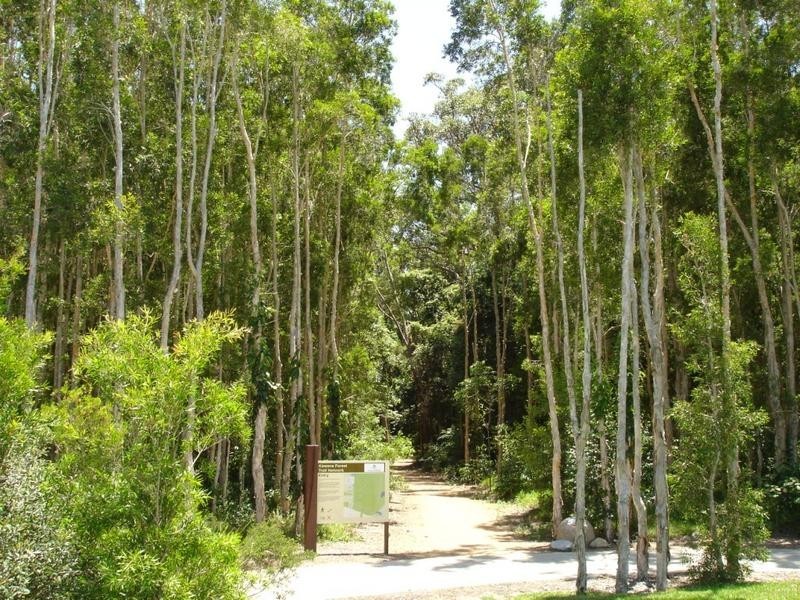 1 Bolwarra Place, Meridan Plains QLD 4551