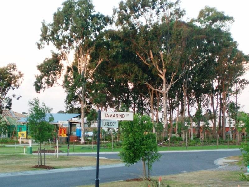 2 Tamarind Street, Meridan Plains QLD 4551