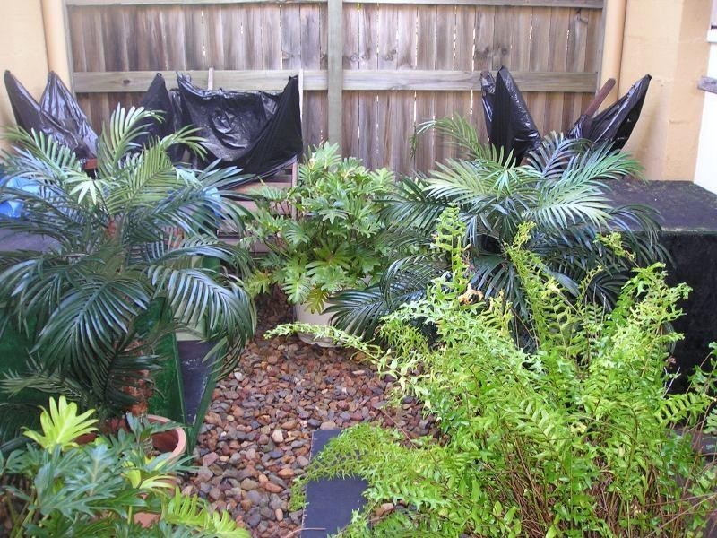 35 Oakdale Circuit, Currimundi QLD 4551