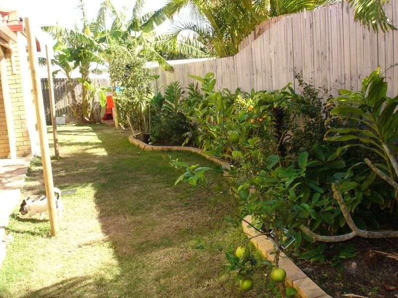 17 King Orchid Drive, Little Mountain QLD 4551