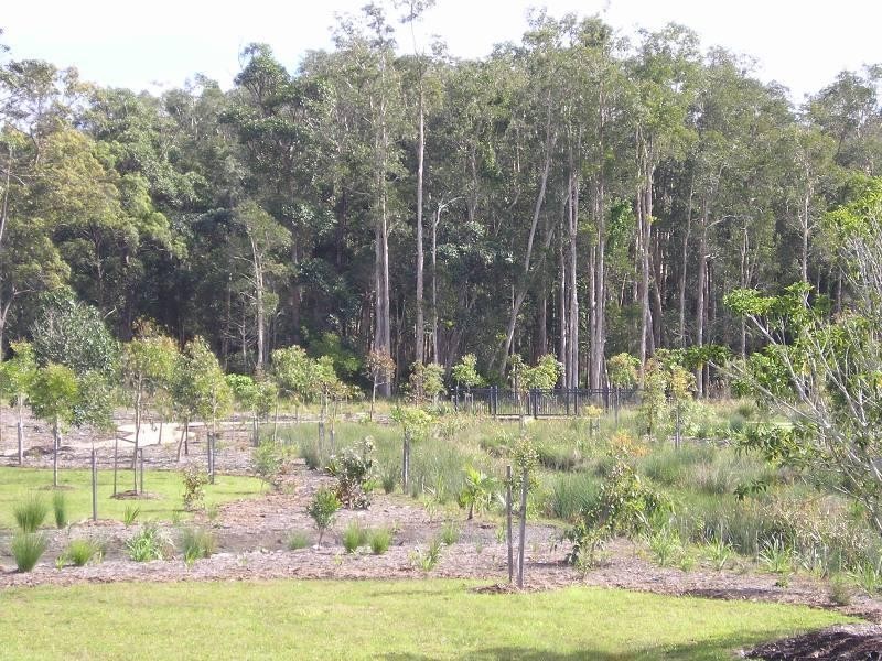 12 Macaranga Court, Meridan Plains QLD 4551