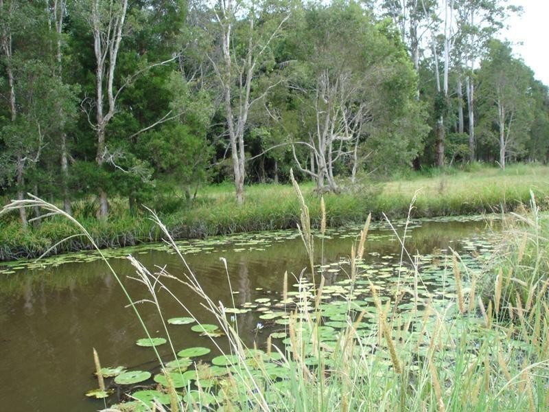 104 Birchgrove Street, Sippy Downs QLD 4556