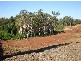 432 Manly Road, Manly West QLD 4179