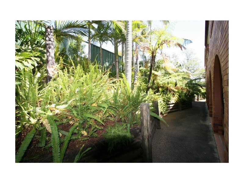 3,11 Arnold Street, Manly QLD 4179