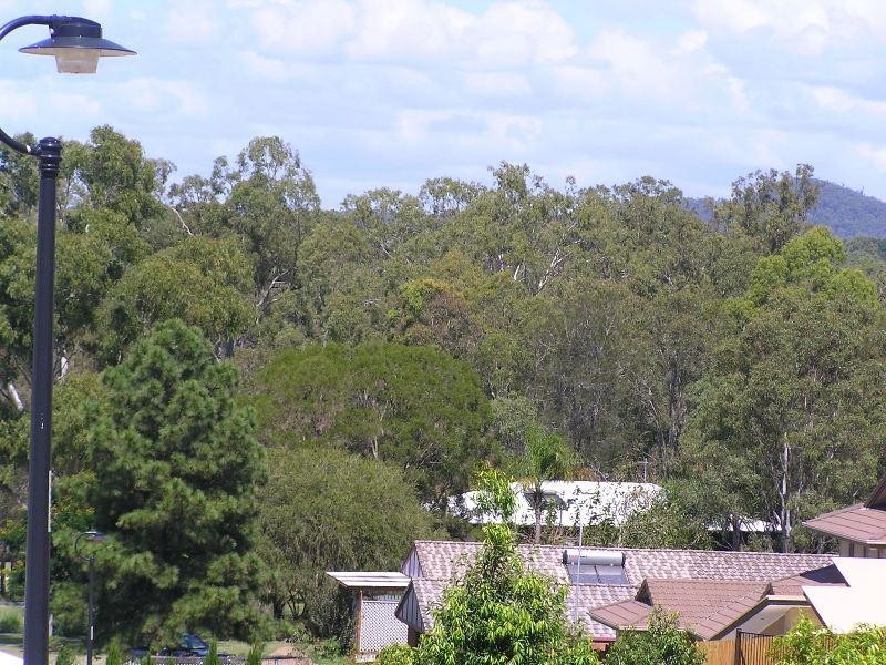 71 Rowland Avenue, Wakerley QLD 4154