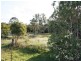 56 Red Gum Crescent, Wakerley QLD 4154