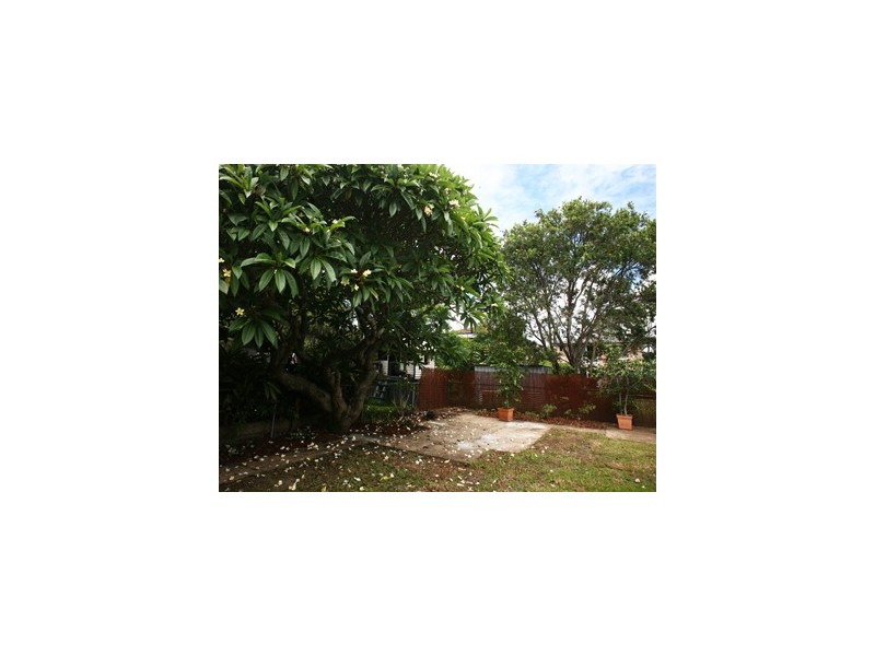 6 Alexander Street, Lota QLD 4179