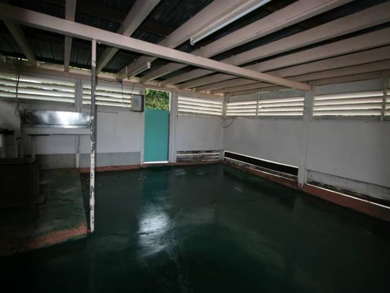 19 Wood Street, Manly QLD 4179