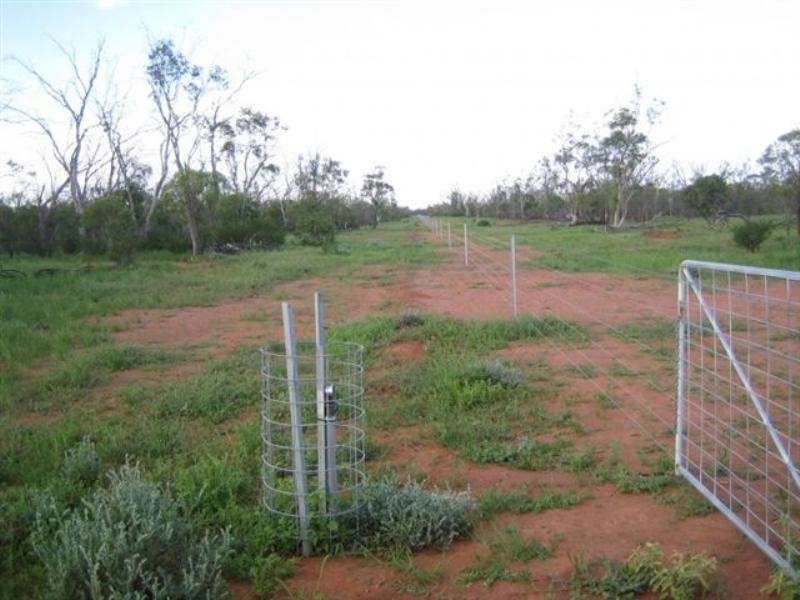 Cunnamulla QLD 4490
