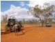 Cunnamulla QLD 4490