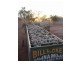 Cunnamulla QLD 4490